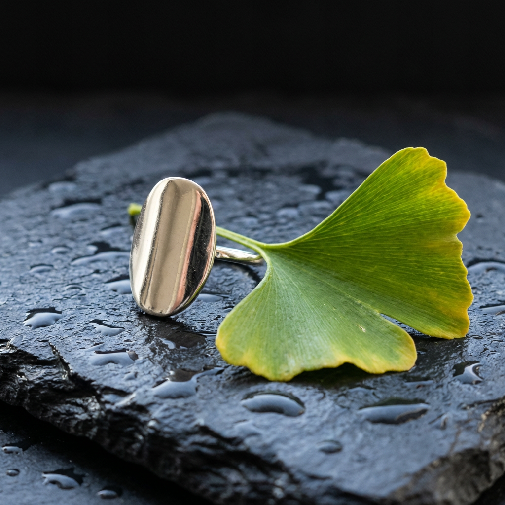 Poleret sølvring på skiffer